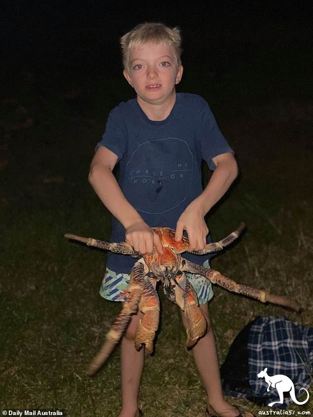 The food comes to the bowl! Camping out a barbecue to attract a bunch of crabs