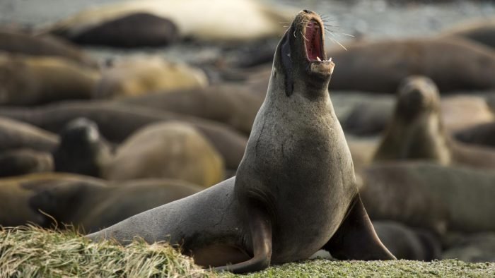 [530C5499-2ED4-8787-FF75-8D0B8D1B5456]