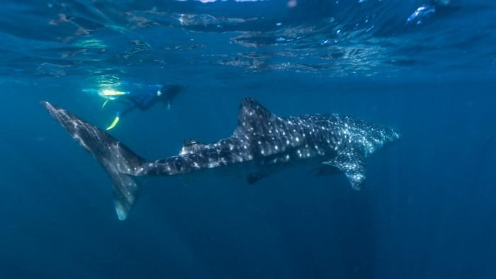 [530C5499-2ED4-8787-FF75-8D0B8D1B5456]