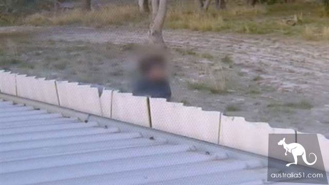Perth bear threw paint cans at open fire, causing severe burns to explosion