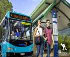 Travel without asking for someone, Keynes bus super-detailed ride guide basic chapte