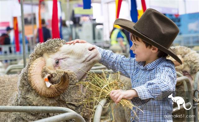What's worth buying? Here are the bags for this year's Sydney Easter Royal Farm Fai
