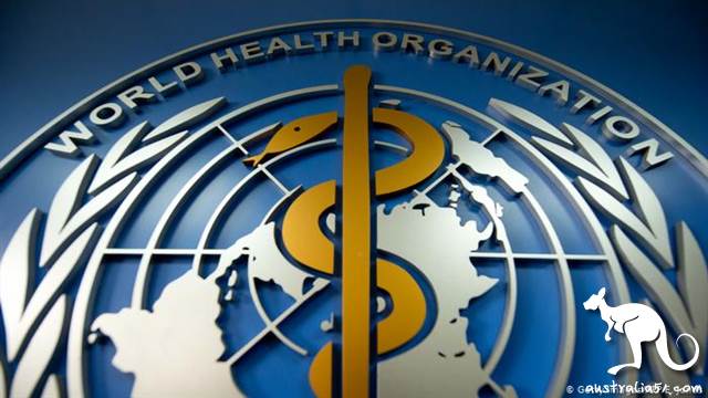 An independent investigation into WHO anti-epidemic efforts was endorsed by most member States