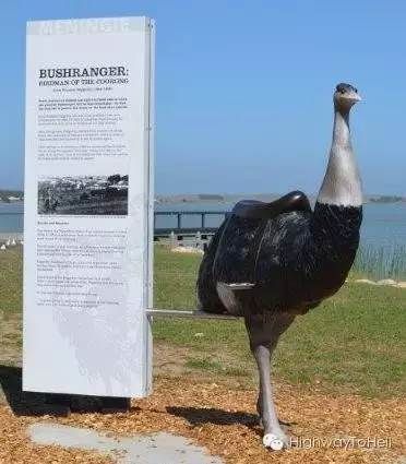 Inventory, Australia's 'giants.'