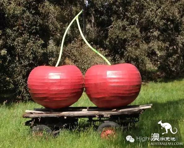 Inventory, Australia's 'giants.'