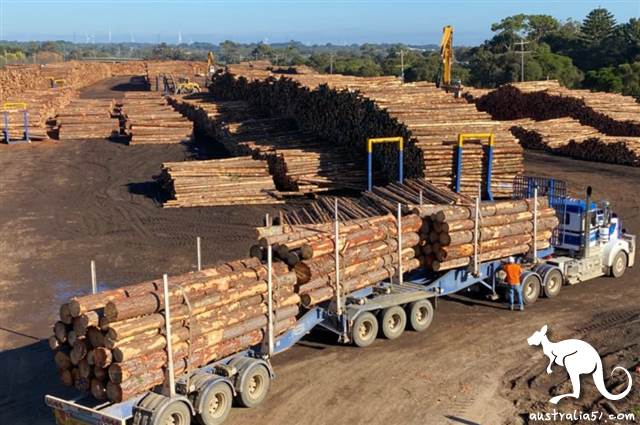 [CC583486-1801-FC06-FA60-17E9D7BE0CEB]