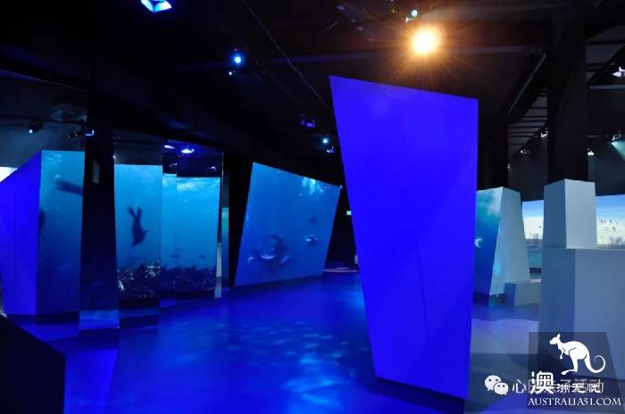 To the south of Melbourne, an island takes you to meet 'Australia's three Mengs.'