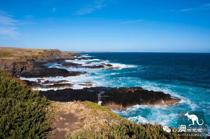 To the south of Melbourne, an island takes you to meet 'Australia's three Mengs.'