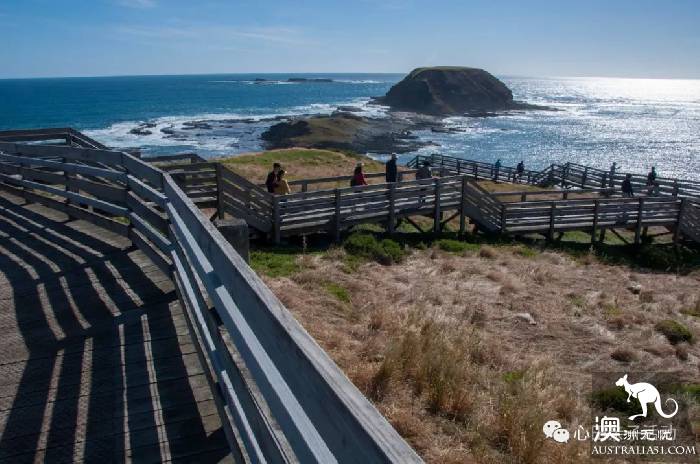 To the south of Melbourne, an island takes you to meet 'Australia's three Mengs.'