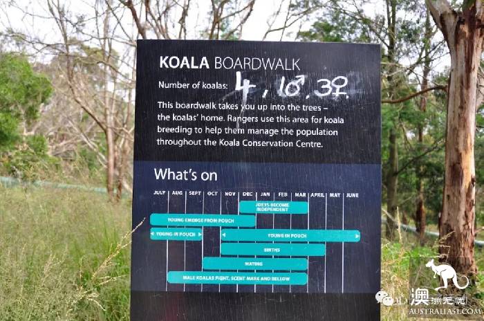 To the south of Melbourne, an island takes you to meet 'Australia's three Mengs.'