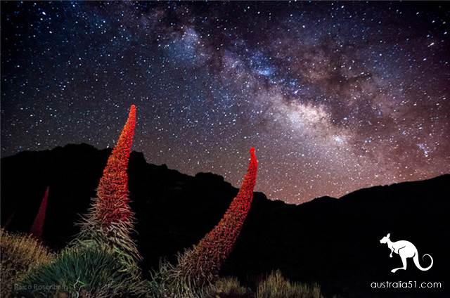 Take you to the depths of the world by taking an inventory of the world's star-watching shrines