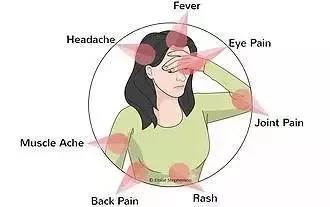 Watch out for mosquitoes! The Ross River virus has broken out in various urban areas of Australia.