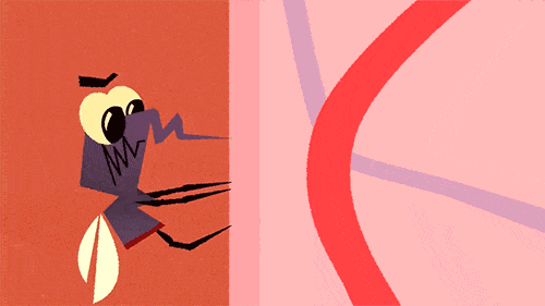 Watch out for mosquitoes! The Ross River virus has broken out in various urban areas of Australia.
