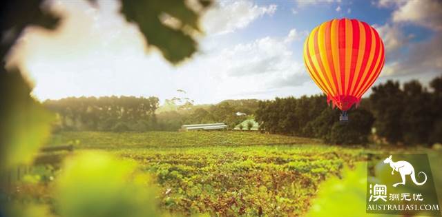 Which of the Australian hot air balloons is chosen? if you want to 'heaven', just look at it.