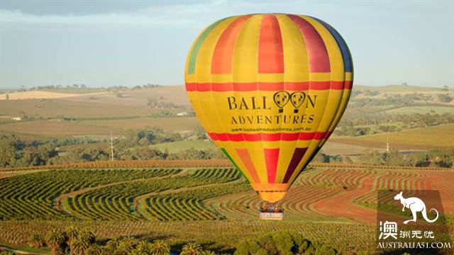 Which of the Australian hot air balloons is chosen? if you want to 'heaven', just look at it.