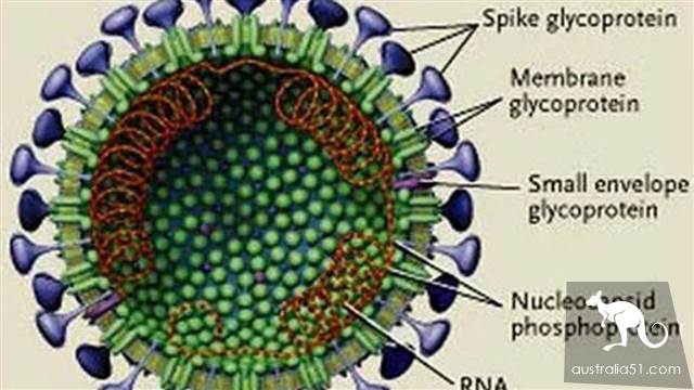 The new coronavirus became popular and these English words became popular