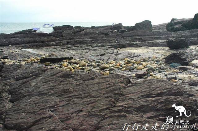 Adelaide Secrets: Harrikoff Preservation Park, the vicissitudes of the Earth for 600 million years