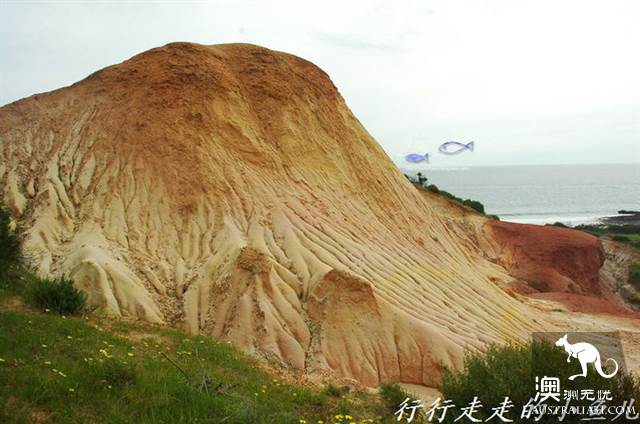 Adelaide Secrets: Harrikoff Preservation Park, the vicissitudes of the Earth for 600 million years