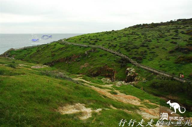 Adelaide Secrets: Harrikoff Preservation Park, the vicissitudes of the Earth for 600 million years