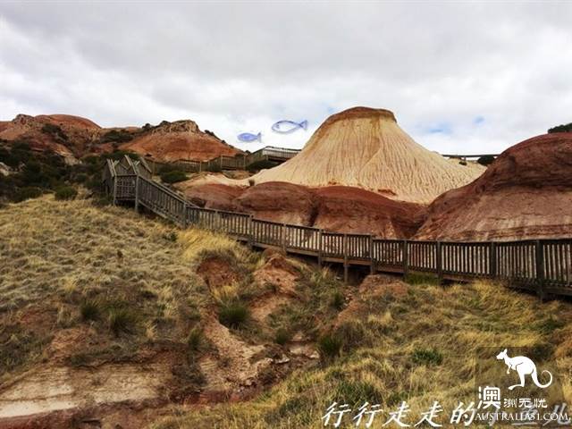 Adelaide Secrets: Harrikoff Preservation Park, the vicissitudes of the Earth for 600 million years