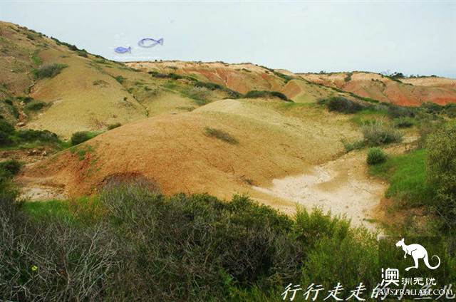 Adelaide Secrets: Harrikoff Preservation Park, the vicissitudes of the Earth for 600 million years