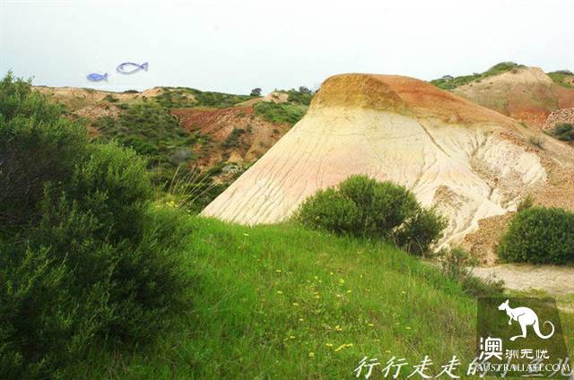 Adelaide Secrets: Harrikoff Preservation Park, the vicissitudes of the Earth for 600 million years