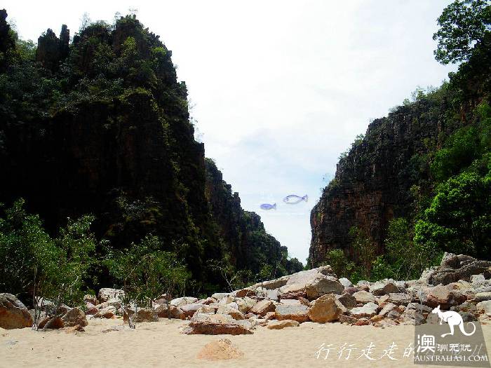 北领地卡卡杜国家公园游玩指南