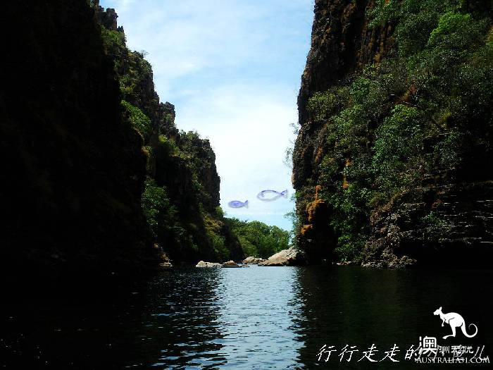 北领地卡卡杜国家公园游玩指南