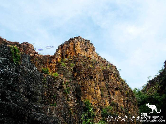 北领地卡卡杜国家公园游玩指南