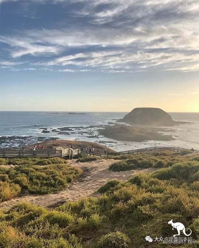 万里挑一的“维州顶级度假胜地”，菲利普岛五大神秘景点解锁