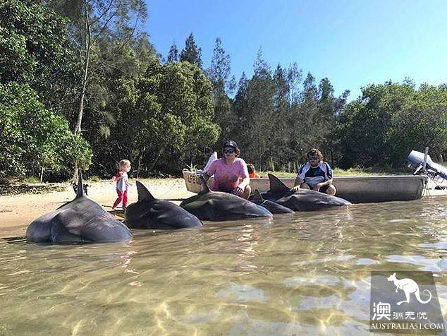 Fishermen in Xinzhou caught several sharks and found amazing findings when they cut open the belly of the fish.