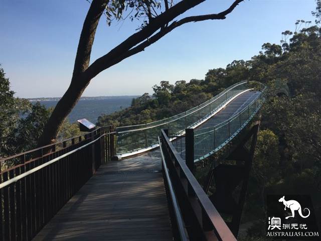 Take the free Perth bus, play around Perth downtown and surrounding