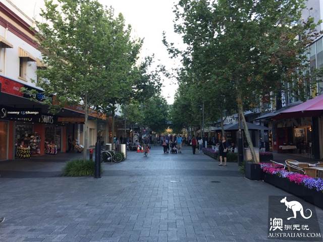 Take the free Perth bus, play around Perth downtown and surrounding