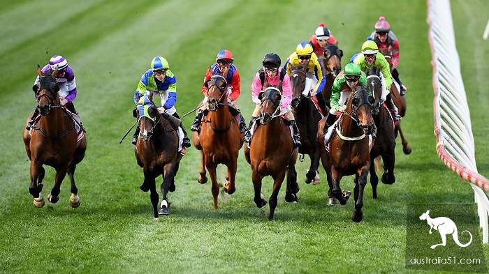 The Melbourne Cup Jockey Club is a complete attack and two minutes to learn about the 100-year event.