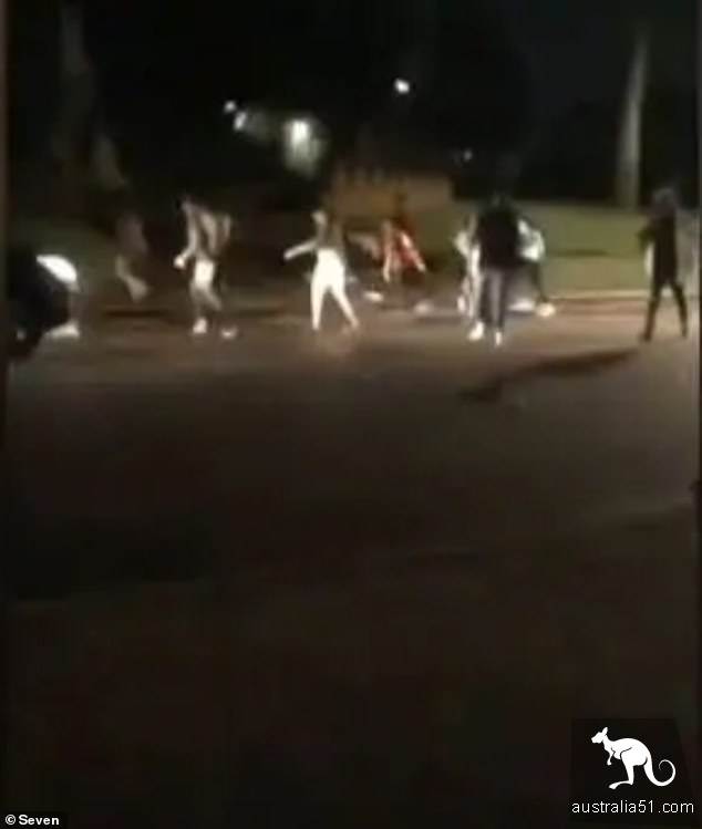 Grab a place? Two party buses arrived at King Perth Park at the same time, sparking a hundred-man scuffle.