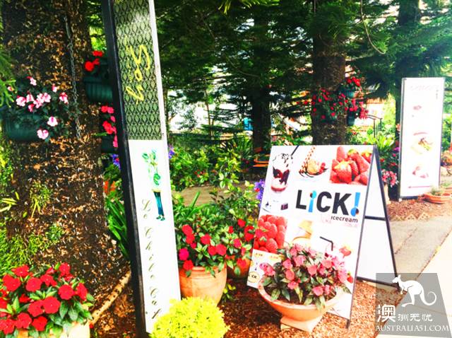 黄金海岸金沙碧海后的秘境：天宝林山游玩全攻略
