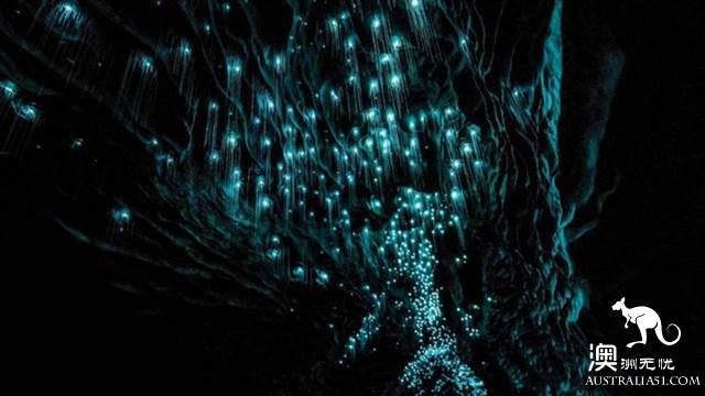 黄金海岸金沙碧海后的秘境：天宝林山游玩全攻略