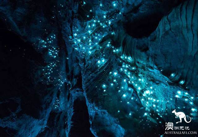 黄金海岸金沙碧海后的秘境：天宝林山游玩全攻略