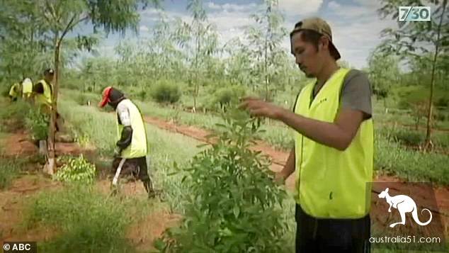 It's hard to work in remote areas of Australia, and local residents do not want to work.