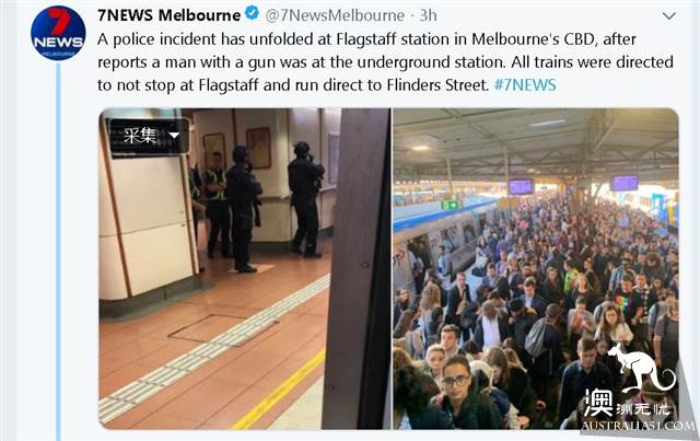 Bird of shock! This morning, the Flagstaff train station mistook the attack, it turned out that it was a musician.