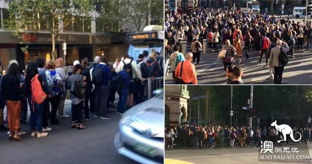 Bird of shock! This morning, the Flagstaff train station mistook the attack, it turned out that it was a musician.