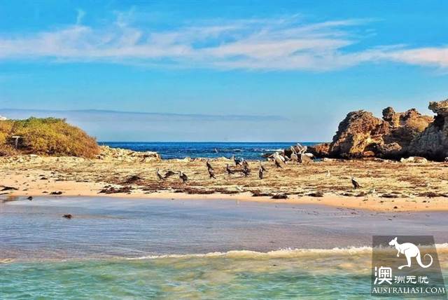 《妻子的浪漫旅行2》，章子怡真人首秀要带火这座“孤独”的城市：珀斯