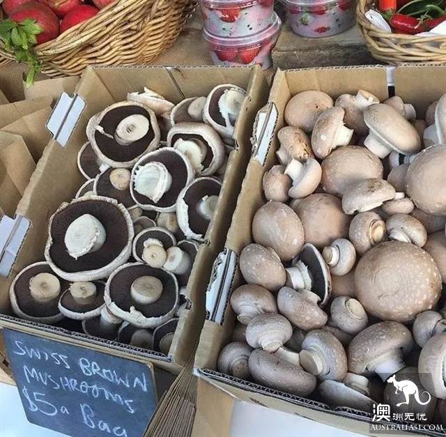 Melbourne-Local just found out that Market, has the freshest and cheapest fruits and vegetables hidden in it.