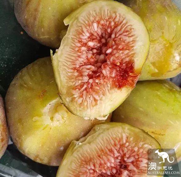 Melbourne-Local just found out that Market, has the freshest and cheapest fruits and vegetables hidden in it.
