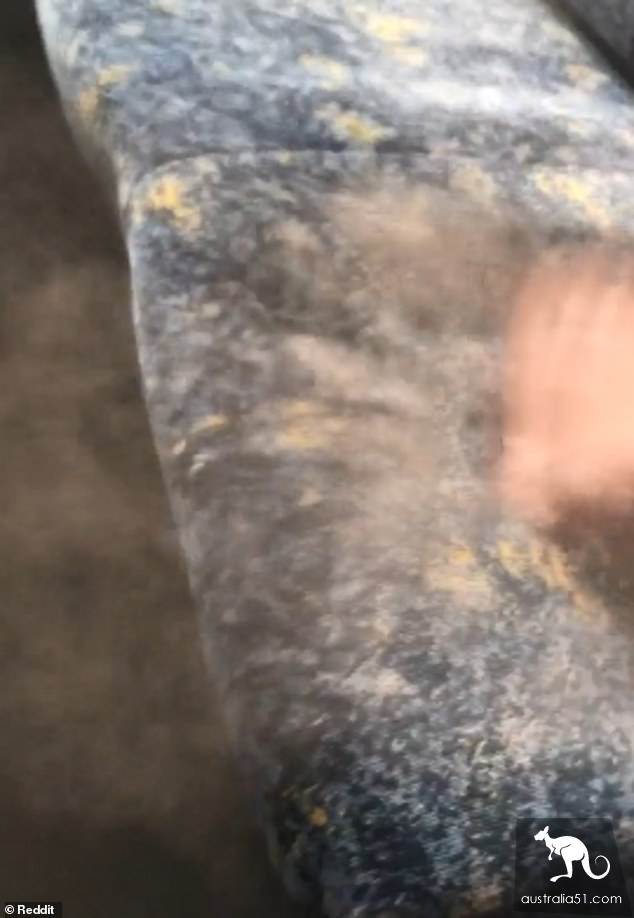 Sydney passengers show how dirty the train seat is, so it's better to stand there