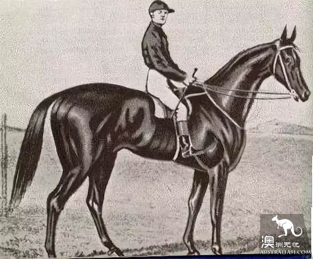 Why is this holiday so important? Melbourne cup horse festival (Melbourne Cup Carnival) total introduction