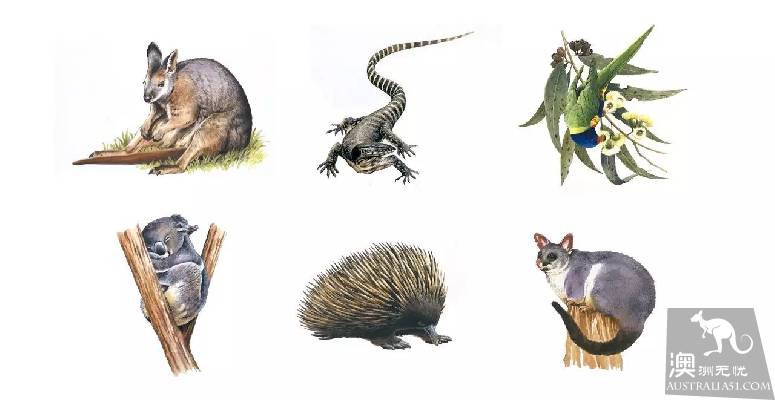 South Australia's first secret kangaroo island: Iceland, Africa, Madei sense of three-in-one