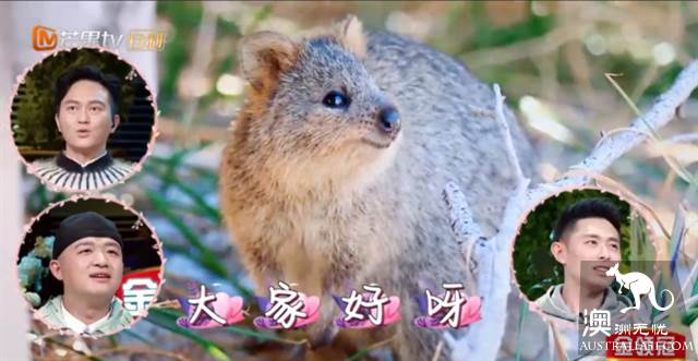 《妻子的浪漫旅行2》目的地：珀斯罗特尼斯岛游玩全攻略