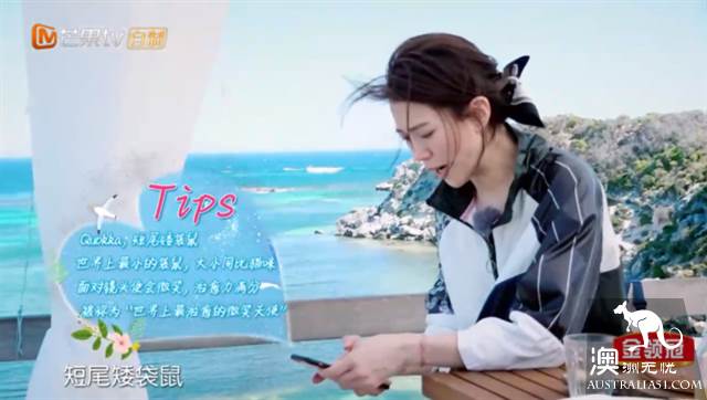 《妻子的浪漫旅行2》目的地：珀斯罗特尼斯岛游玩全攻略