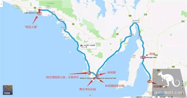 South Australia self-driving strategy: al Peninsula and sea lion travel together, watch 'Watermelon Avenue'